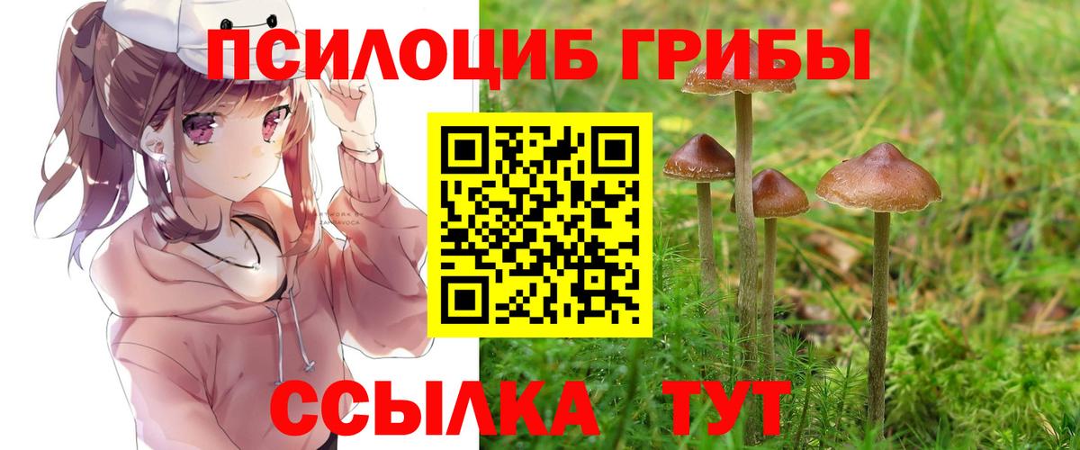Галлюциногенные грибы ЛСД Грозный