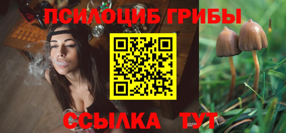 Псилоцибиновые грибы ЛСД  Вход с VPN  Грозный 